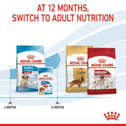 Royal Canin dog food packages for different life stages on a white background