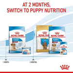 Load image into Gallery viewer, Royal Canin dog food products with text indicating switching to puppy nutrition at 2 months.
