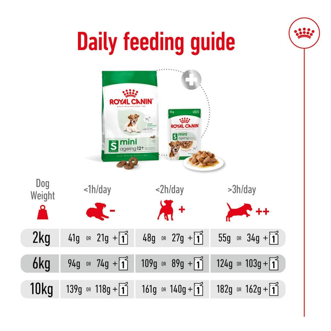 Royal Canin mini feeding guide with packaging and portion sizes on a white background