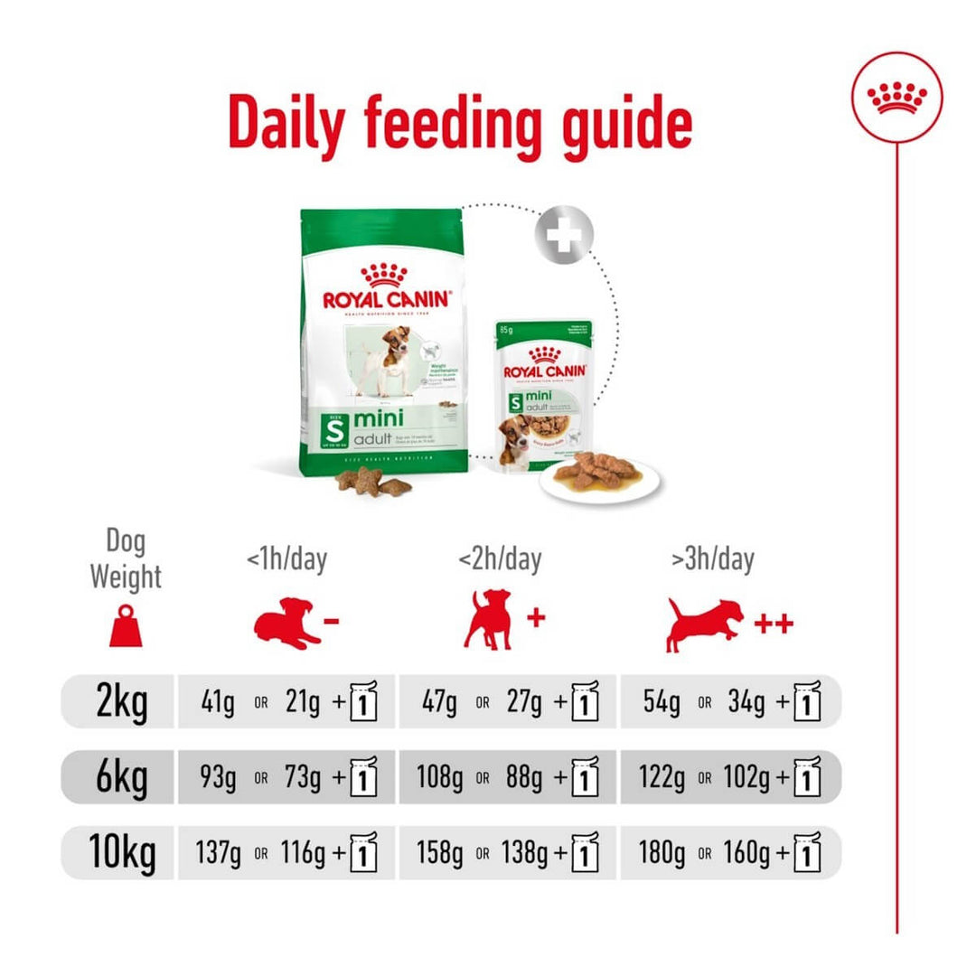 Royal Canin mini adult dog food packaging with daily feeding guide on a white background