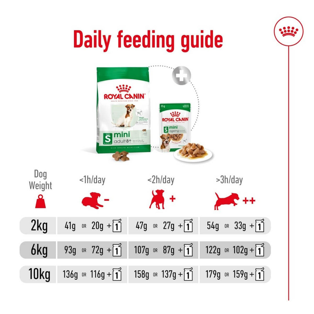 Royal Canin mini daily feeding guide with product packaging and feeding recommendations.