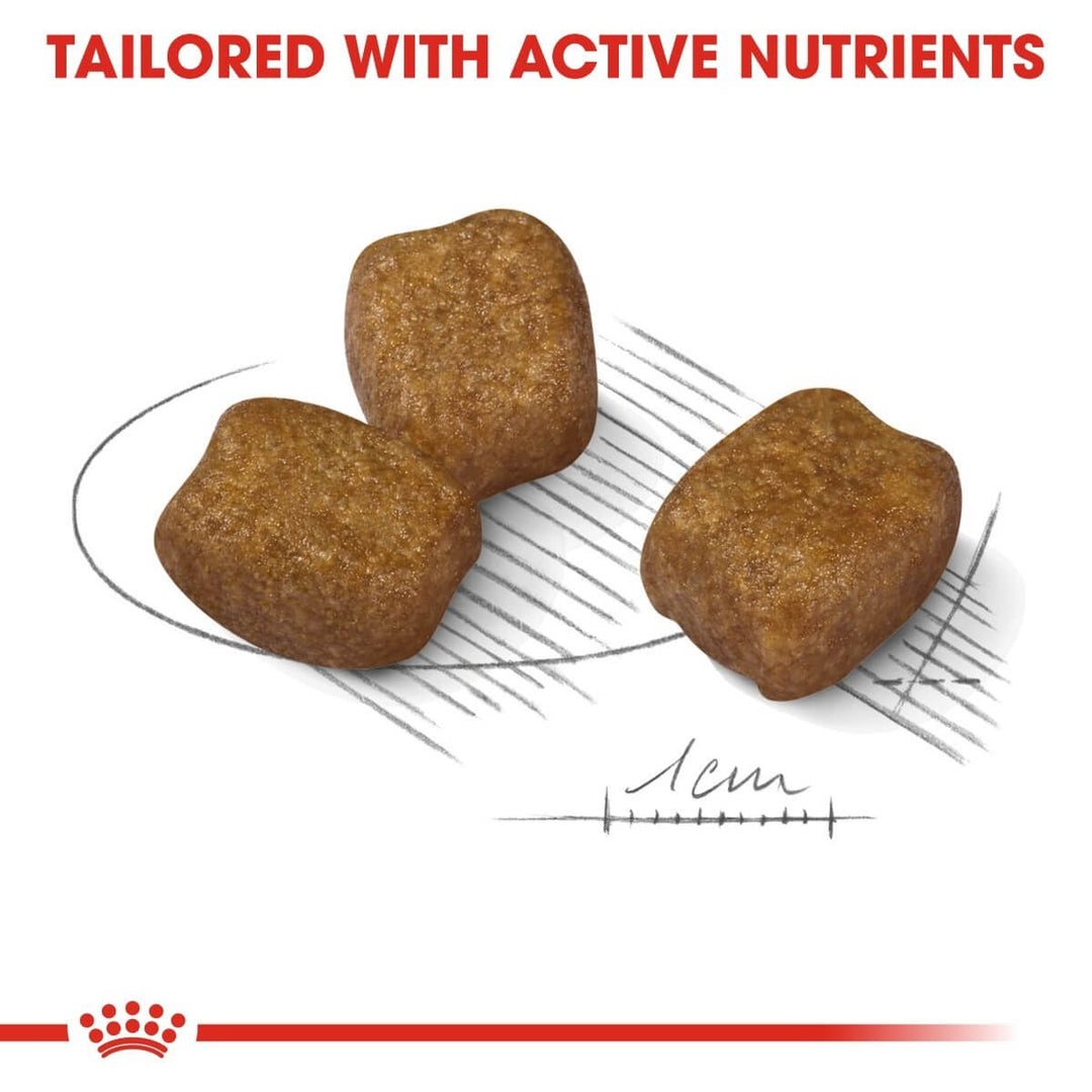 Three brown pet treats on a white background with text 'Tailored with Active Nutrients' and a Royal Canin logo.