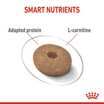 Load image into Gallery viewer, Dog treat with &#39;Smart Nutrients&#39; text highlighting &#39;Adapted protein&#39; and &#39;L-carnitine&#39;.
