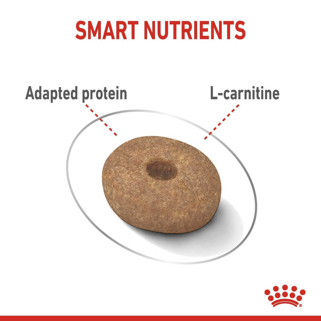 Dog treat with 'Smart Nutrients' text highlighting 'Adapted protein' and 'L-carnitine'.