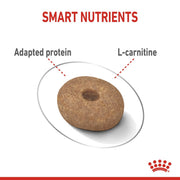 Dog treat with 'Smart Nutrients' text highlighting 'Adapted protein' and 'L-carnitine'.