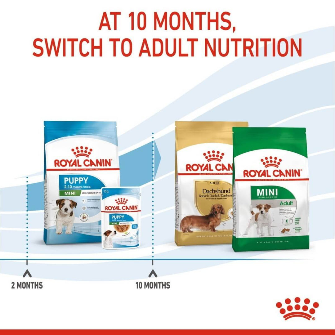 Royal Canin dog food packages with stages of growth on a white background