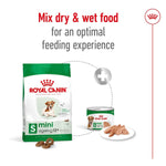 Load image into Gallery viewer, Royal Canin mini ageing 12+ dog food packaging with text on optimal feeding experience.
