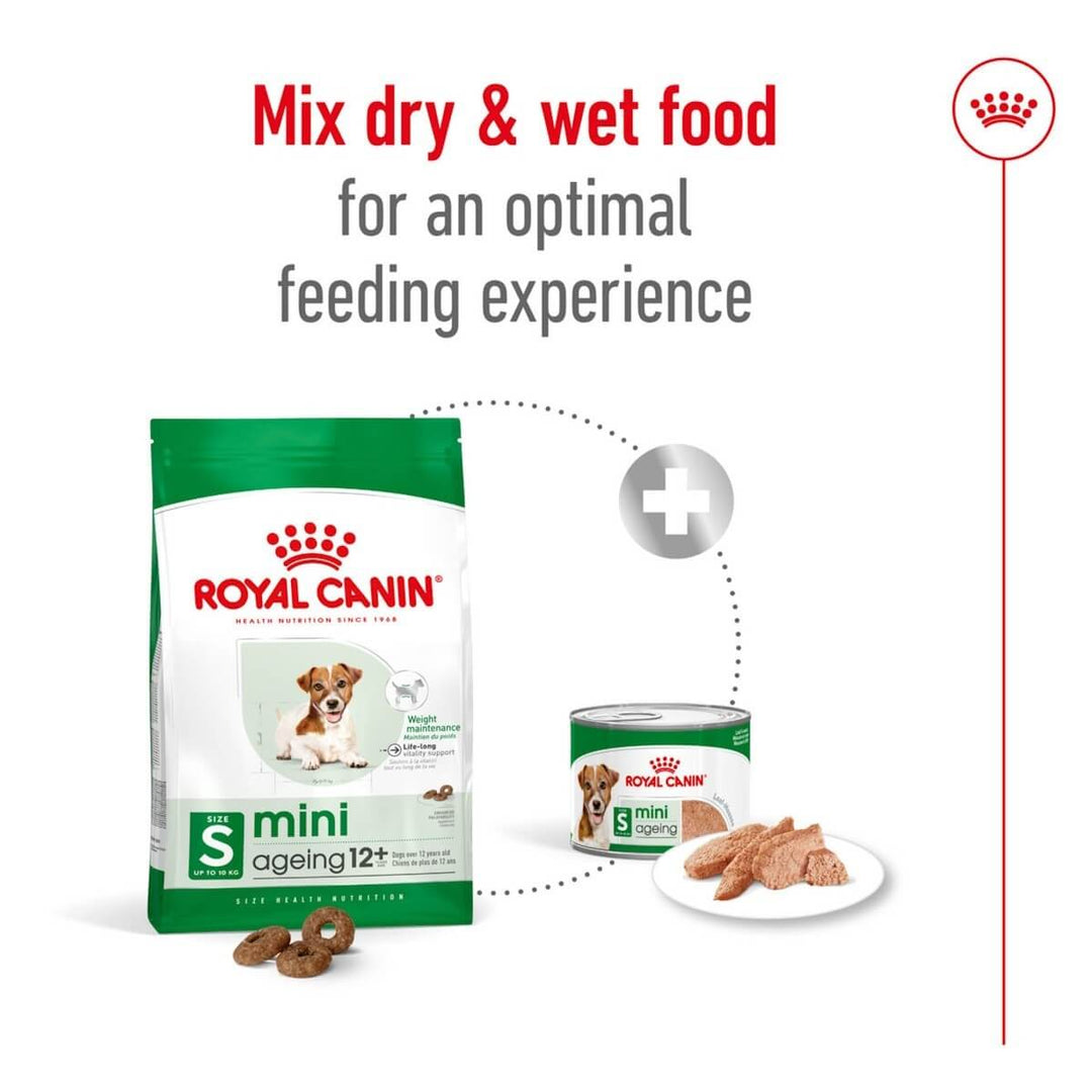 Royal Canin mini ageing 12+ dog food packaging with text on optimal feeding experience.