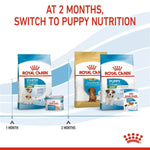 Load image into Gallery viewer, Royal Canin dog food products with text indicating switching to puppy nutrition at 2 months.
