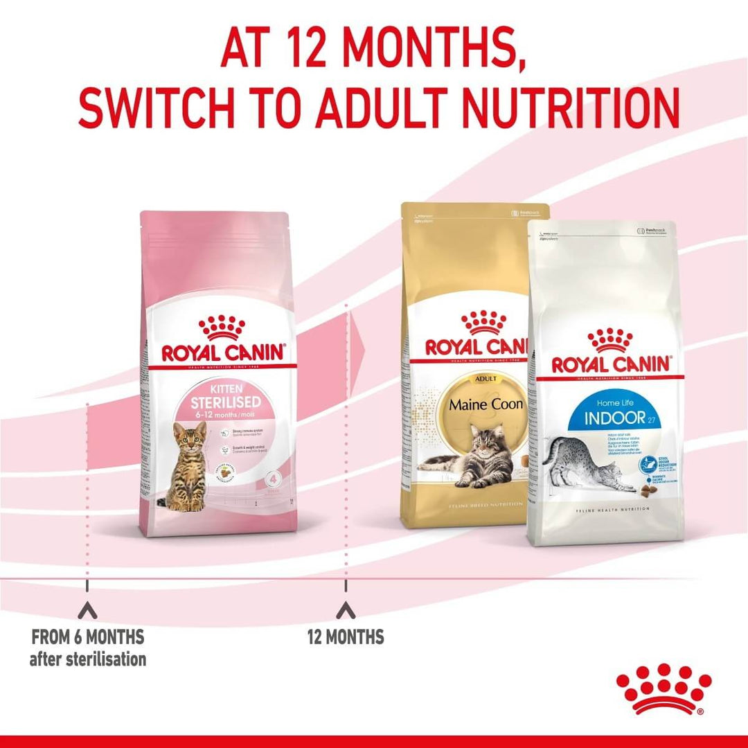 Royal Canin cat food packages with text indicating switching to adult nutrition at 12 months.