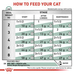 Load image into Gallery viewer, Cat food feeding chart指导如何喂养您的猫
