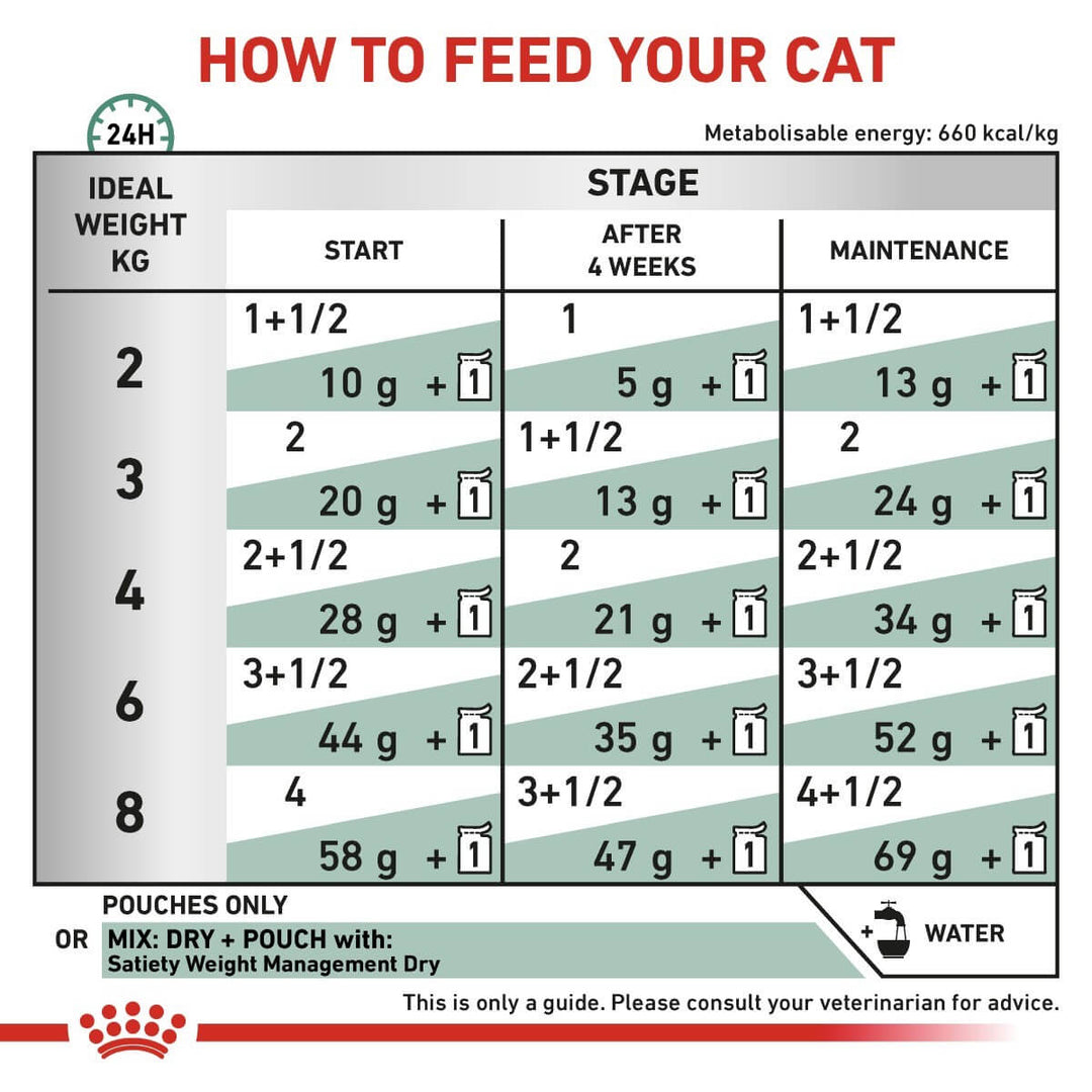Cat food feeding chart指导如何喂养您的猫