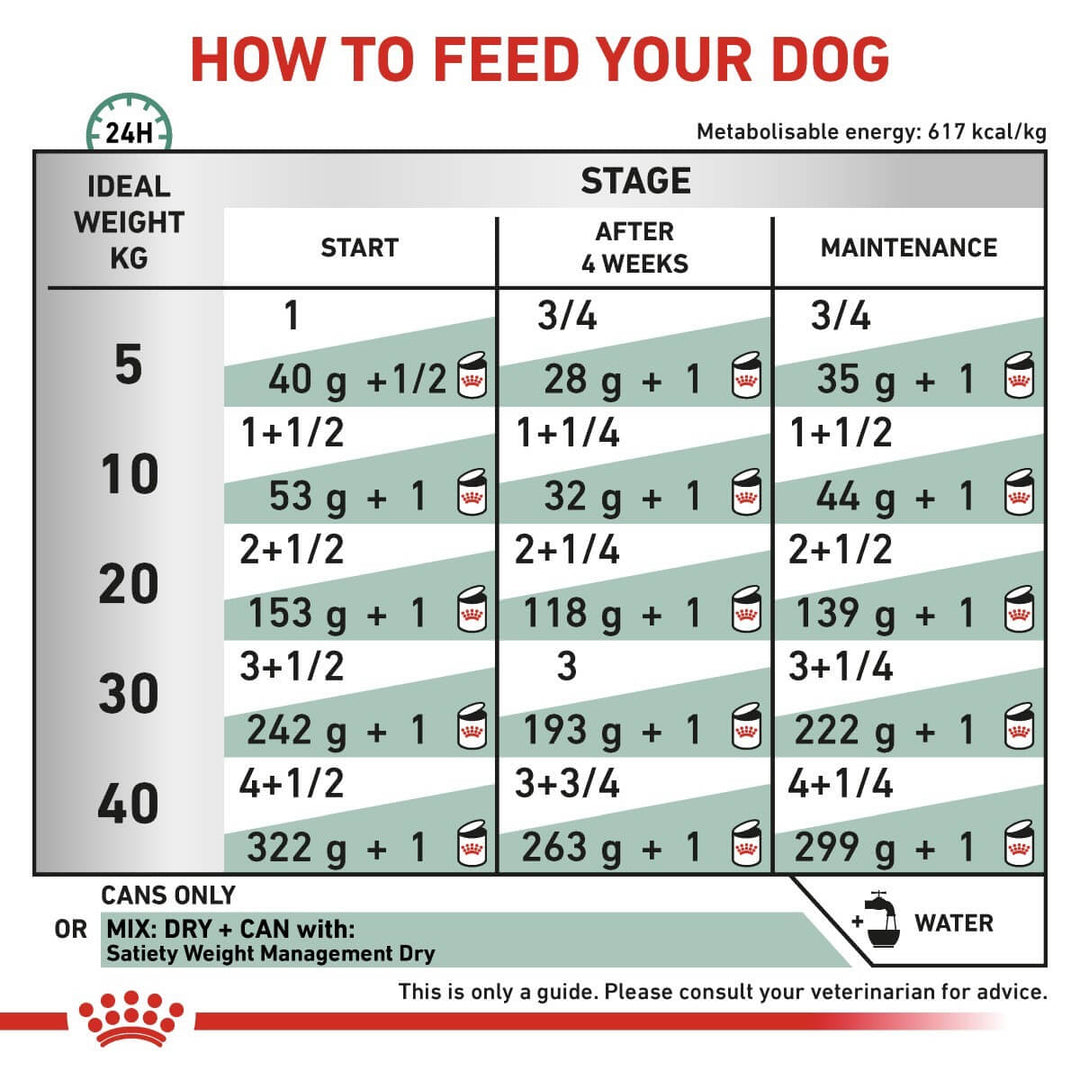 Feeding chart for dogs showing recommended amounts of canned food and water per day.