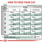 Load image into Gallery viewer, Cat food feeding chart指导如何喂养您的猫
