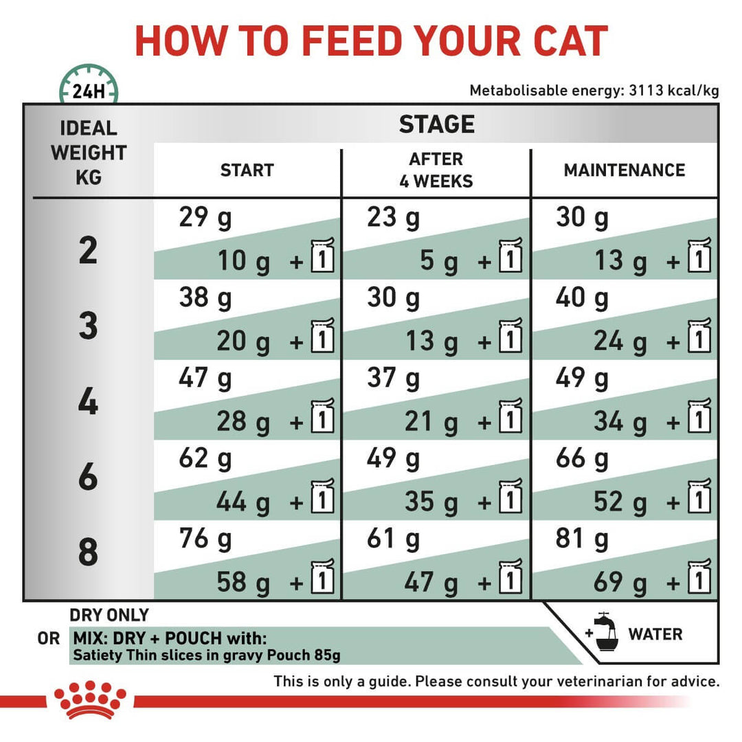 Cat food feeding chart指导如何喂养您的猫
