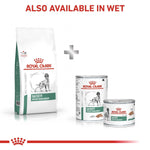 Load image into Gallery viewer, Royal Canin veterinary diet products for dogs on a white background
