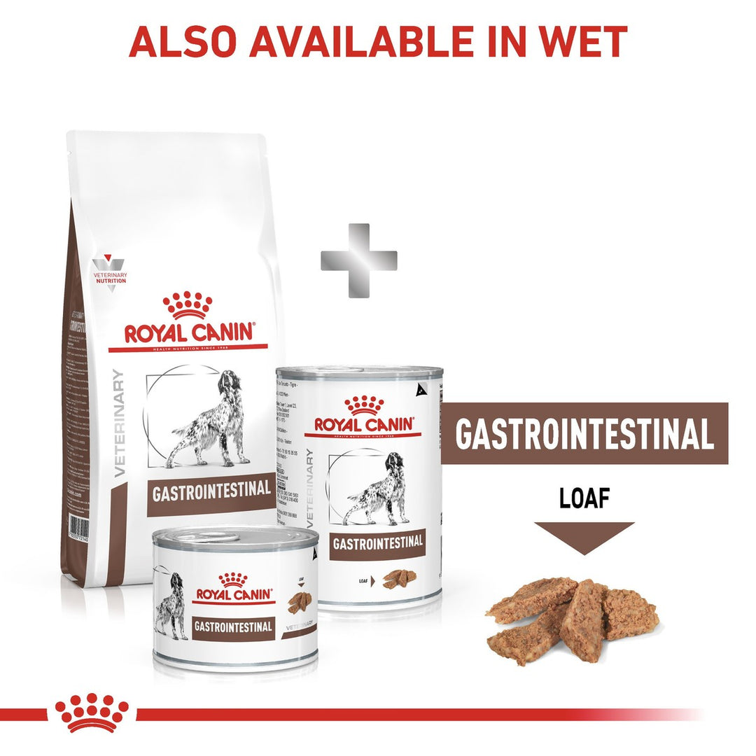 Royal Canin Gastrointestinal pet food products on a white background