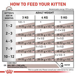 Load image into Gallery viewer, Feeding chart for kittens showing recommended food amounts based on age and weight.
