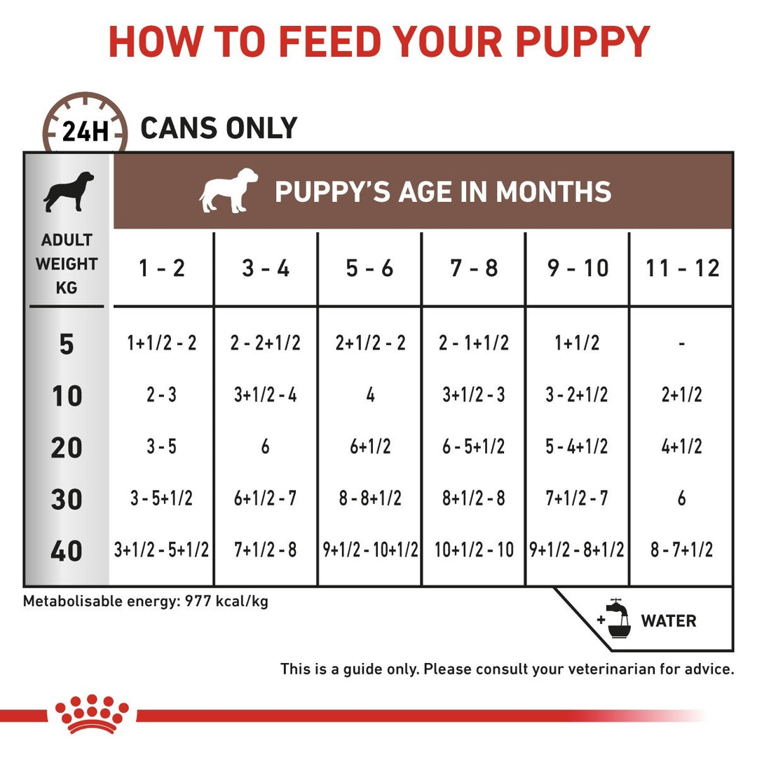 Feeding guide for puppies with age and weight information