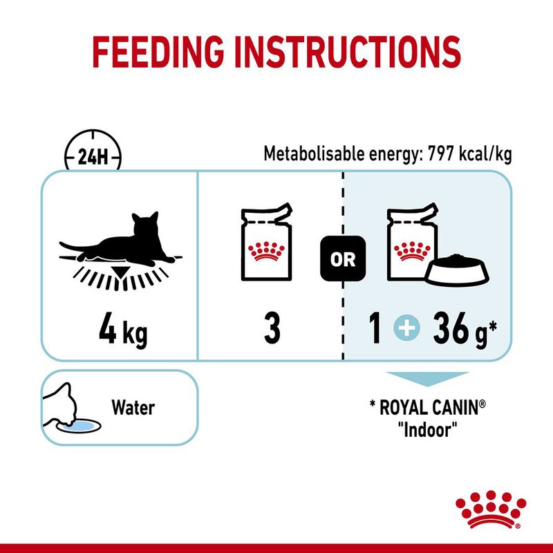 Royal Canin feeding instructions diagram for indoor cats on a white background