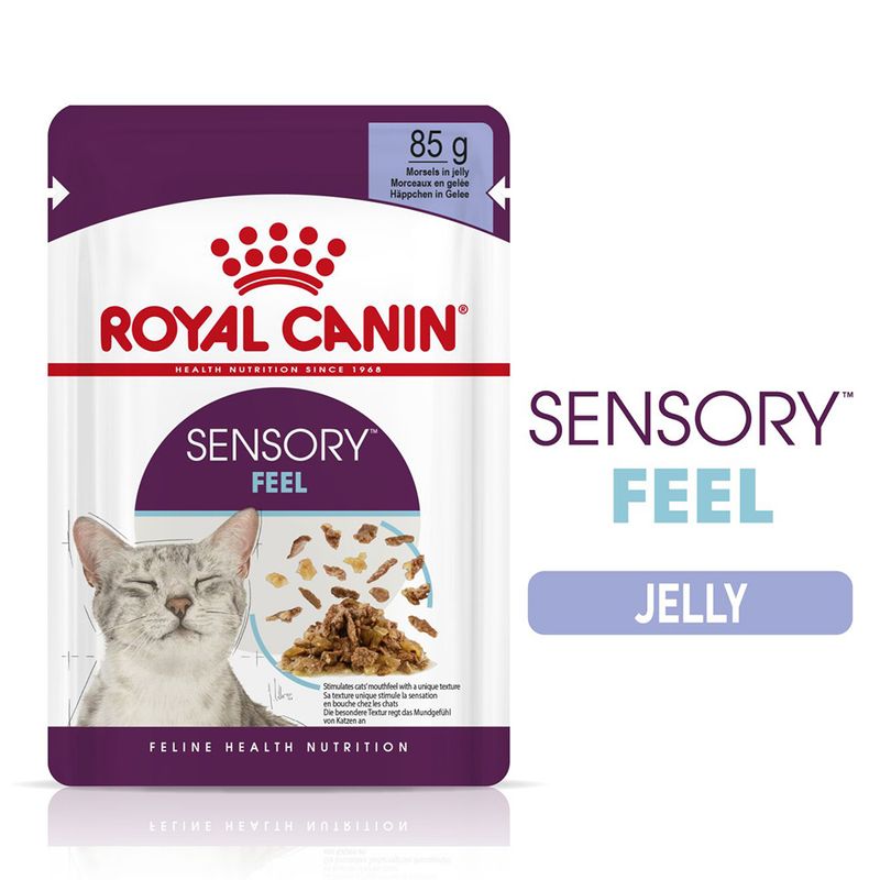 Royal Canin Sensory Feel jelly pouch for cats on a white background