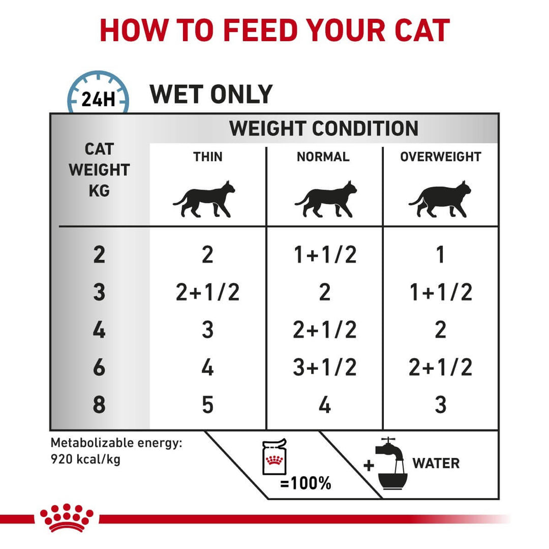Feeding chart for cats indicating how much to feed based on weight and condition.