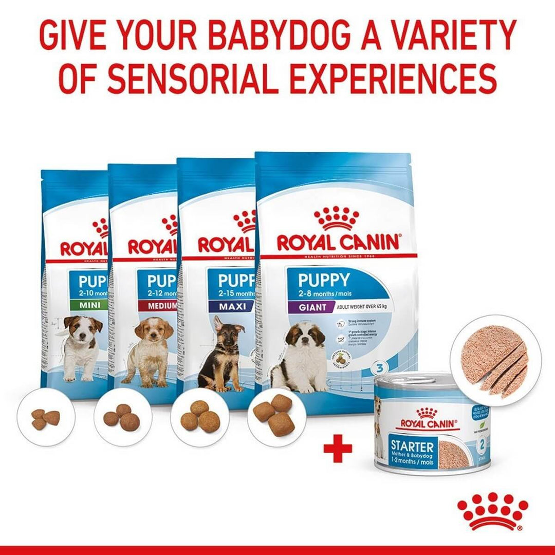 Royal Canin puppy food packages with text on a white background