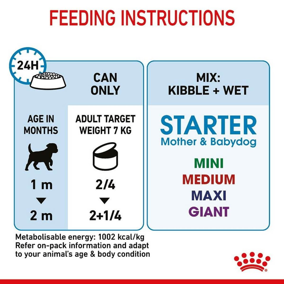 Feeding instructions for a dog food product with icons and text on a white background.