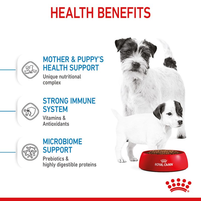 Weaning food for mini puppies