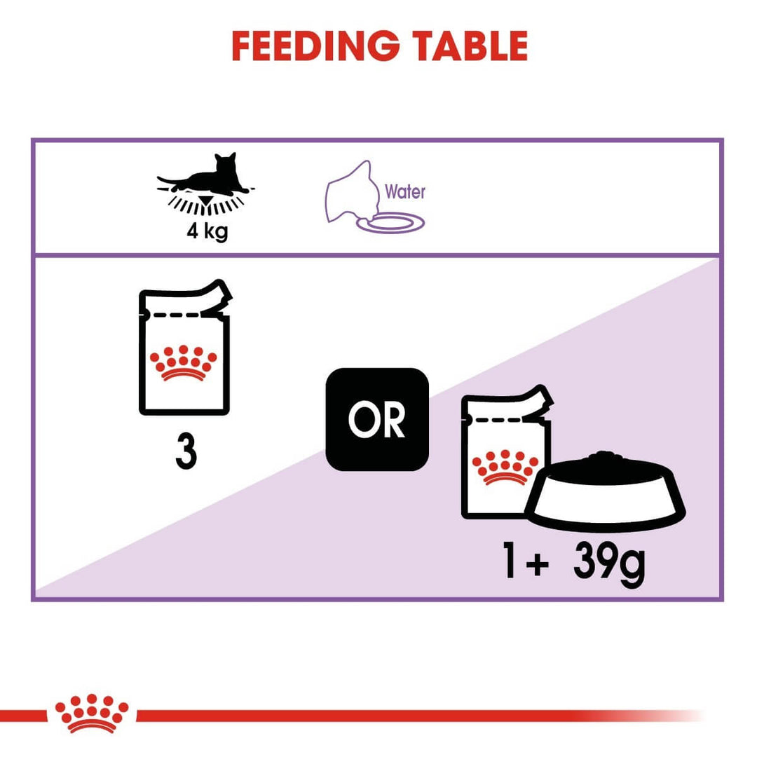 Feeding table diagram for a cat with icons and text indicating feeding instructions.