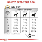 Load image into Gallery viewer, Feeding chart for dogs with weight and condition categories

