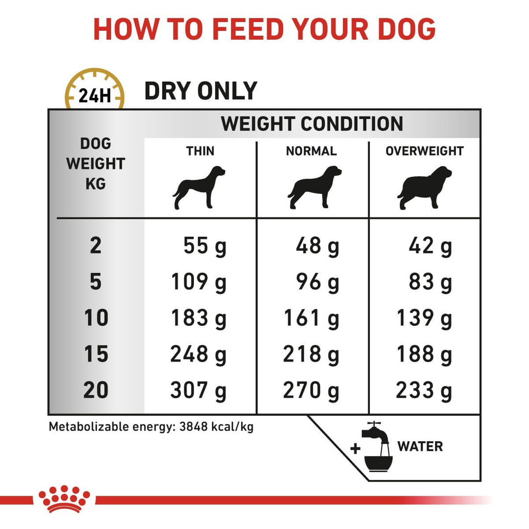 Feeding chart for dogs with weight and condition categories