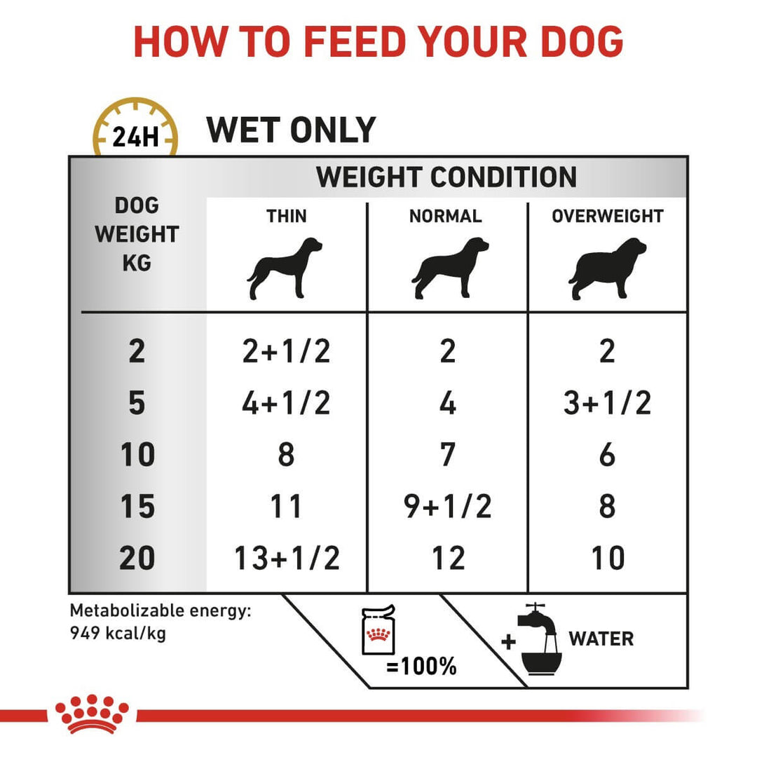 Dog food feeding chart for wet food only, showing recommended portions based on dog weight and condition.