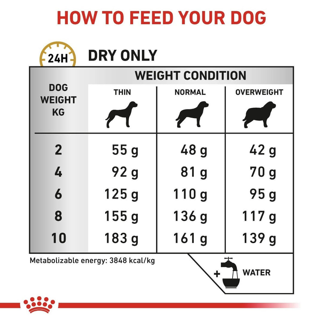 Feeding chart for dogs with weight and condition categories