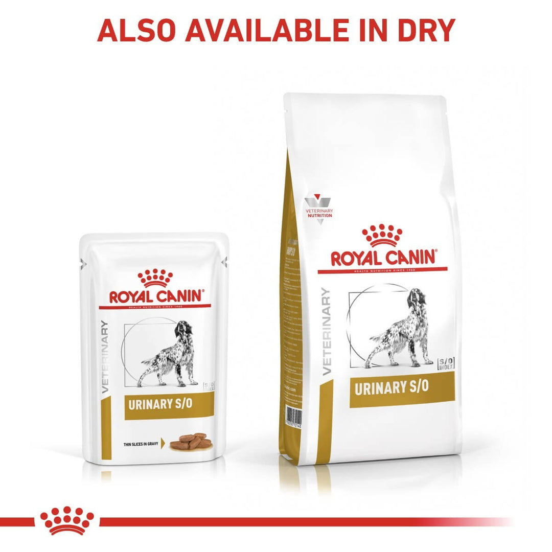 Royal Canin Veterinary Diet Urinary S/O pet food packaging on a white background