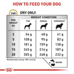 Load image into Gallery viewer, Feeding chart for dogs with weight and condition categories
