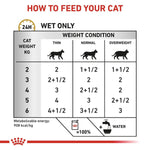 Load image into Gallery viewer, Feeding chart for cats indicating how much to feed based on weight and condition.
