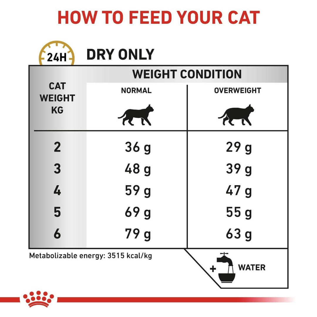 Cat food feeding chart for dry food only, showing recommended daily dry food amounts based on cat weight and condition.