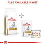 Load image into Gallery viewer, Royal Canin Veterinary Diet products for dogs on a white background
