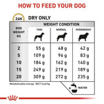 Load image into Gallery viewer, Feeding chart for dogs with weight and condition categories
