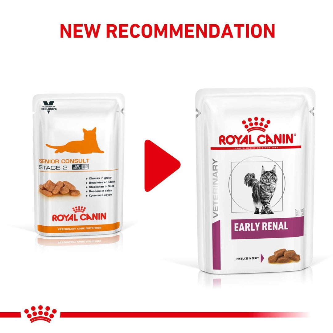 Two Royal Canin cat food packages with text indicating new recommendations on a white background.