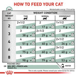 Load image into Gallery viewer, Chart for feeding a cat based on weight and condition

