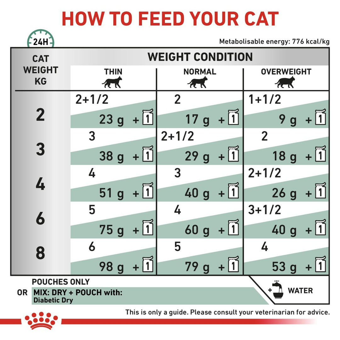 Chart for feeding a cat based on weight and condition