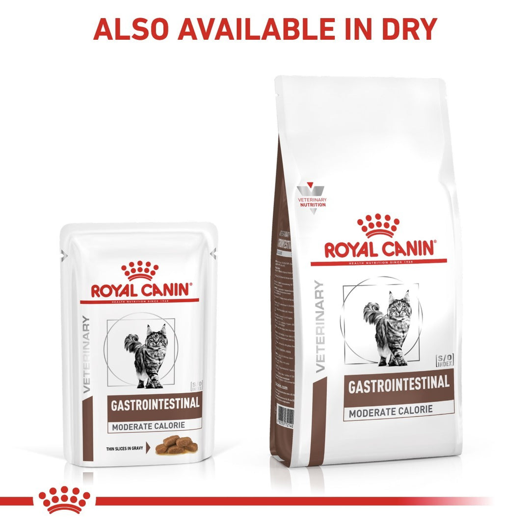 Royal Canin Gastrointestinal Moderate Calorie pet food packages on a white background