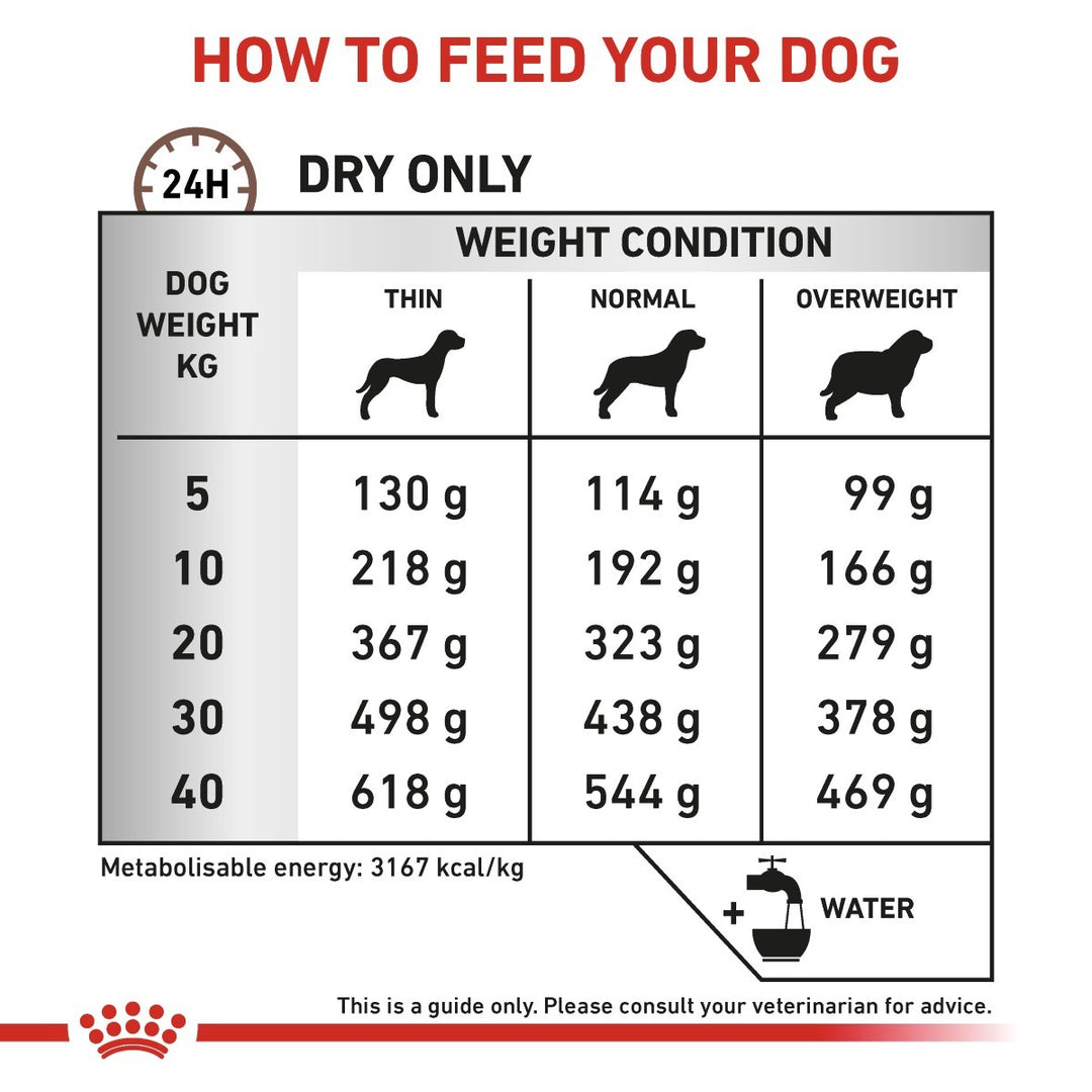 Dog food feeding chart