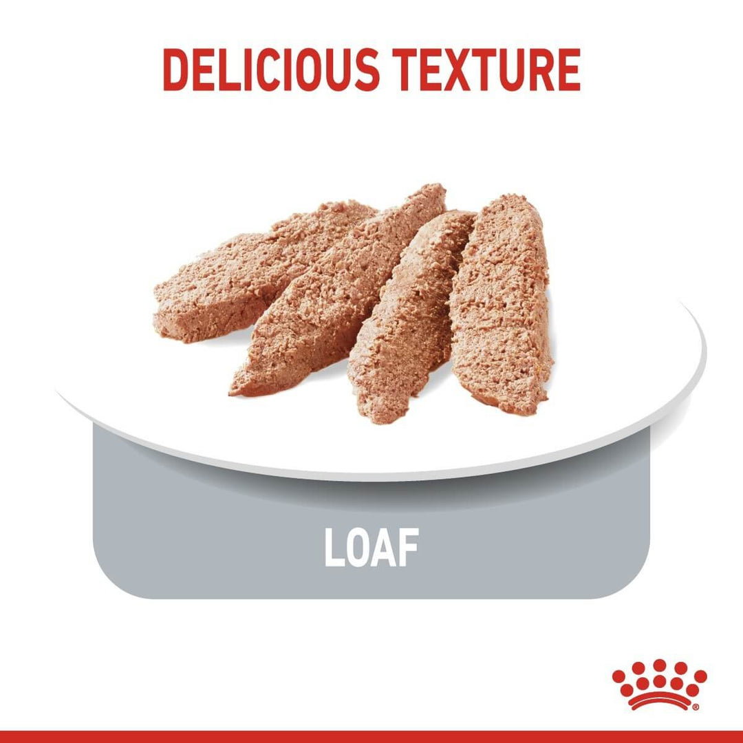 Three bread loaves on a white plate with 'DELICIOUS TEXTURE' text and a brand logo at the bottom.