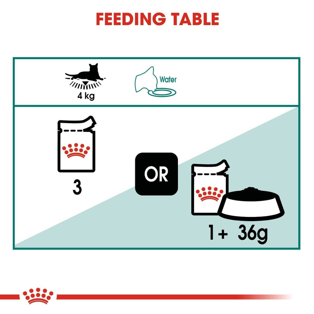 Feeding table diagram for a cat with icons and text indicating feeding guidelines.