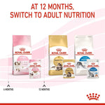 Load image into Gallery viewer, Royal Canin cat food packages with text indicating switching to adult nutrition at 12 months.
