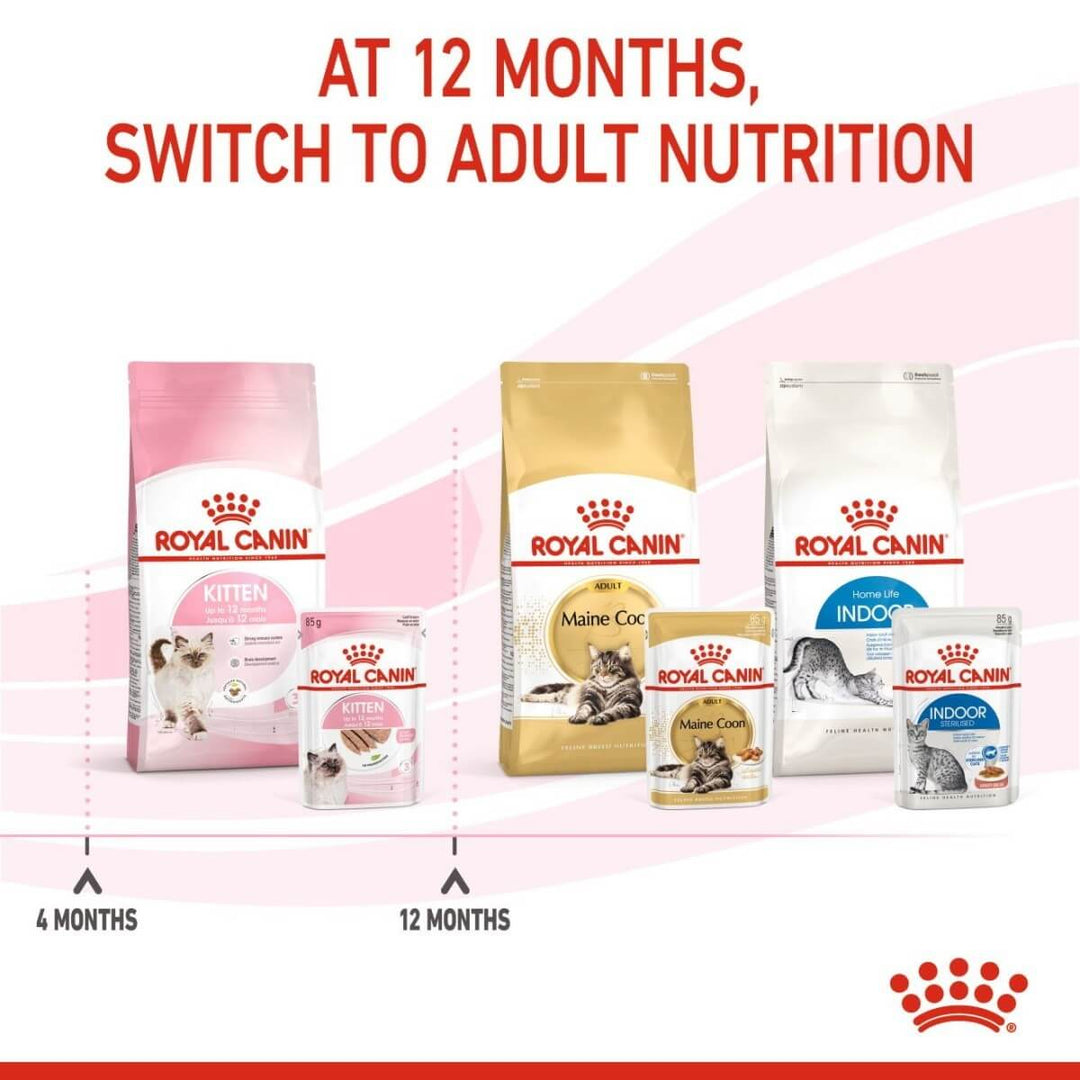 Royal Canin cat food packages with text indicating switching to adult nutrition at 12 months.