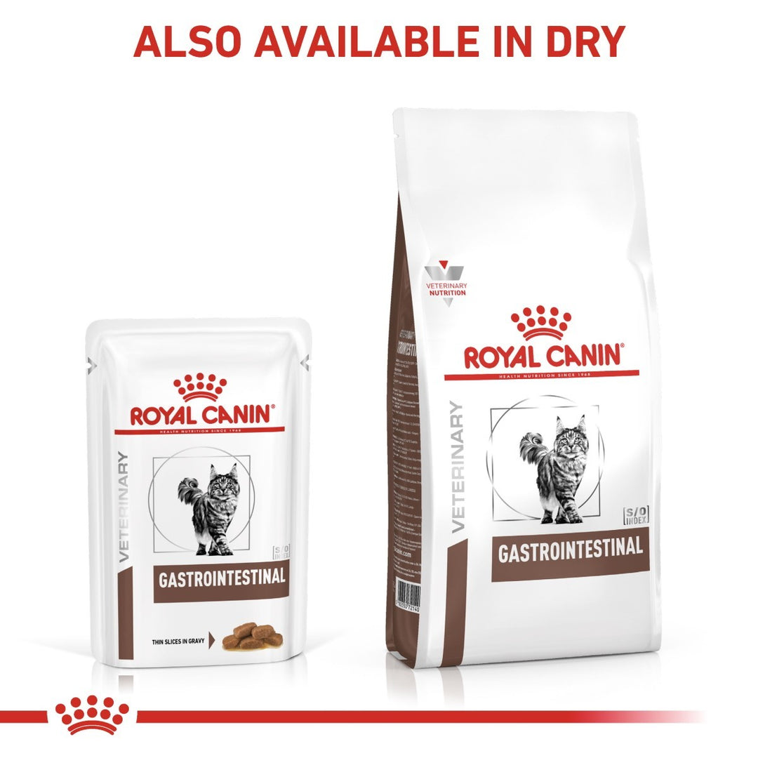 Royal Canin Gastrointestinal cat food packaging on a white background